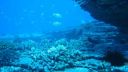 Wangelis -  West Across the Ocean Sea - D. Videos