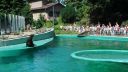 ZOO - Budapešť
