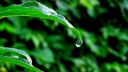 ENYA - A Day Without Rain  - D. Videos