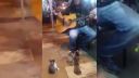 Pouličný muzikant a mačiatka