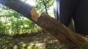 Troška sekania s mojim bushcraft