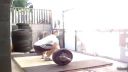 Gym Fail #1