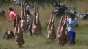Tento svet stojí hore nohami (Spencer Tunick)