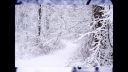 KIM WILDE AND RICK ASTLEY - WINTER WONDERLAND - D. VIDEOS