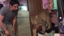 video Keď máš v dome rysa ako domáce zvieratko (Rusko)