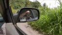 Maui trip 2017
