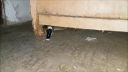 video Mamba čierna na návšteve u chovateľa škrečkov