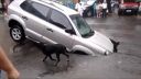 Diera na ceste zhltla auto (Brazília)
