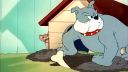 Tom a Jerry - Ukrivdená mačka