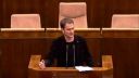 Matovič: Islam je mierumilovný