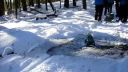New winter classic 2016/2017 kordiky