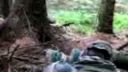 Airsoft - najlepšia adrenalínová hra