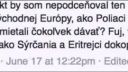 "Slováci sú biela spodina"