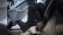 Najdrsnejšie zábery z policajných kamier (1) CZ