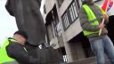 Občiansky tribunál v žltých vestách pred NR