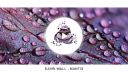 DAWN WALL - MANTIS