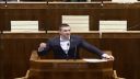 Privatizácia podnikov