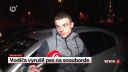 Vodiča vyrušil pes na snowboarde