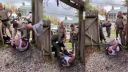 Takto to dopadne ak vás nepočúva policajný pes
