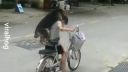 Pes na bicykli sa usmieva najviac ?
