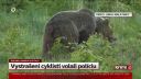 Medveď: vystrašení cyklisti volali políciu