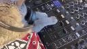 DJ Murko mixuje brutálny set