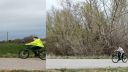 Králová nad Váhom Slovenské deti ktorú labut hádzajú s kamenom