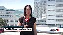 Medvedica napadla muža neďaleko Kremnice. Skončil v nemocnici