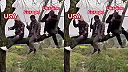 Pílim, píliš, pílime (chystáme drevo na zimu)