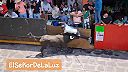 Provokoval býka, z ulice ho odniesli na palete