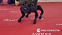 Robopes M-81 vyzbrojeného RPG-26