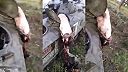 Okupanti sa pokúsili o prielom... nevydalo