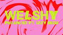 Welshy - Paranoid (Audio) ft. Izzy Bizu
