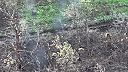 Dron kameruje depresiu v Ruských zákopoch