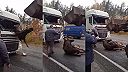 Los sa zrazil s osobným autom, náraz ho odhodil do čelného skla kamiónu (DRSNÉ)