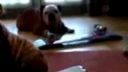 Pes na Wii Skateboarde