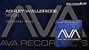 Ashley Wallbridge - Vision