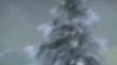 Aion