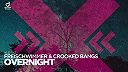 Freischwimmer feat. Crooked Bangs - Overnight