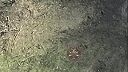 Ruské MT-LB a dron