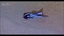Best Songs Of The 1990s Cream Dance Hits of 90s 2000s 2022s Live Clu