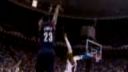 Lebron James 5