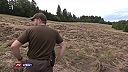 Štáb RTVS prekvapil medveď priamo pri nakrúcaní reportáže o škodách
