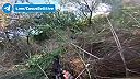 
Údajne zábery poľských žoldnierov, strieľajúcich na vojakov VSU.

