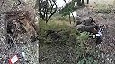 Ďalší Ukronacisti zahynuli neďaleko Bachmutu