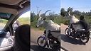 Tú kravu ti doveziem na motorke