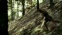 Súboj Titanov (trailer)