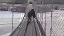 Rusko je krásne, Rusko je múdre, Rusko je vyspelé.. #07