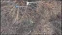 Další okupant po zásahu dronom