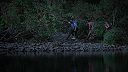 Záhady Rock Islandu,S01E19